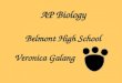 AP Biology Belmont High School Veronica Galang. I’m not just making this stuff up: 10 th years teaching experience in Belmont High School Bachelor of