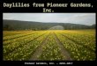 Daylilies from Pioneer Gardens, Inc. Pioneer Gardens, Inc. – 2016-2017