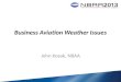 Business Aviation Weather Issues John Kosak, NBAA