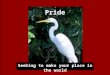 Seeking to make your place in the world Pride. Humility Finding You Place in God’s World