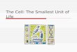 The Cell: The Smallest Unit of Life Prokaryotic and Eukaryotic Cells  Prokaryotic 1.No nuclear membrane 2.No membrane bound organelles 3.Found only