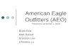 American Eagle Outfitters (AEO) Presented December 2, 2008 Brian Bird Matt Byford Brandon Lee Christina Lu