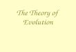 The Theory of Evolution. A theory… Explains the current observations and predicts new observations. Present day organisms are similar, but not identical,