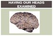HAVING OUR HEADS EXAMINED.  Lesion Lesion INTRODUCTION