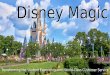 Disney Magic Transforming the Student Experience with World- Class Customer Service