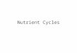 Nutrient Cycles. NITROGEN MOLECULES TO KNOW N 2 - Nitrogen Gas NO 2 – Nitrite NO3 – Nitrate NH4 – Ammonia