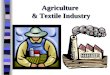 Agriculture & Textile Industry. The main features of Industrial Revolution