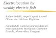 Electrolocation by weakly electric fish Ruben Budelli, Angel Caputi, Leonel Gómez and Adriana Migliaro Facultad de Ciencias and Instituto de Investigaciones