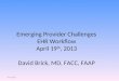 Emerging Provider Challenges EHR Workflow April 19 th, 2013 David Brick, MD, FACC, FAAP 4/19/2013