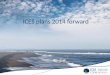 ICES plans 2014 forward. ICES work 2014 Recurrent TAC advice – Sandeel 28/2 – NS main package 30/6 – Rays and skates 30/9 Data limited stocks – DLS categories
