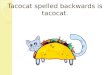 Tacocat spelled backwards is tacocat.. Welcome 2016 Saber Speech! Allard Andalkovil Arunkumar bhalla Boradia Das Eega Flaten Gunter Heidal Hentges Padmanabhan