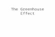 The Greenhouse Effect. Some atmospheric basics The greenhouse effect Radiant energy that is absorbed heats Earth and eventually is reradiated skyward