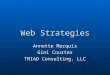 Web Strategies Annette Marquis Gini Courter TRIAD Consulting, LLC