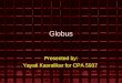 Globus Presented by: Yayati Kasralikar for CPA 5937