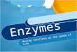 Enzymes Moving reactions at the speed of life. Discuss with your shoulder partners What are enzymes? Why are enzymes necessary for Organisms? What are