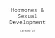 Hormones & Sexual Development Lecture 23. Sexual Dimorphism n Two forms l male and female n What determines your sex? ~