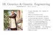 III. Genetics & Genetic Engineering Presentation # 3 Ch. 11, 13, & 14 Gregor Mendel - the “Father of Genetics” Was an Austrian monk Worked in a monastery