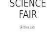 SCIENCE FAIR Skittles Lab. SKITTLES LAB Experiment on dissolving