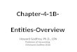 Chapter-4-1B- Entities-Overview Howard Godfrey, Ph.D., CPA Professor of Accounting ©Howard Godfrey-2016