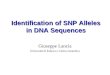 Identification of SNP Alleles in DNA Sequences Giuseppe Lancia Università di Padova e Celera Genomics