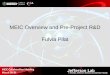 MEIC Overview and Pre-Project R&D Fulvia Pilat MEIC Collaboration Meeting March 30-31