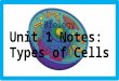 Biology Unit 1 Notes: Types of Cells. (1) Types of Organisms Unicellular Organisms: Organisms that are made of only one single cell. The single cell completes