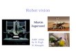 Robot vision Martin Jagersand Addt’ slides by D. Pugh N. Krouglic