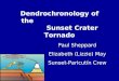 Dendrochronology of the Sunset Crater Tornado Paul Sheppard Elizabeth (Lizzie) May Sunset-Paricutín Crew