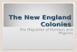 The New England Colonies The Migration of Puritans and Pilgrims