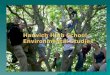 Harwich High School Environmental Studies. an interdisciplinary course that addresses real world an interdisciplinary course that addresses real world