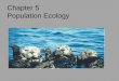 Chapter 5 Population Ecology Populations Growth Population Growth Three factors can affect population size:  number of births  the number of deaths