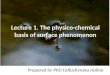 Lecture 1. The physico-chemical basis of surface phenomenon Prepared by PhD Falfushynska Halina