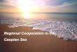 Regional Cooperation in the Caspian Sea. Caspian Environment Programme (CEP) Environmental program initiated by Republic of Azerbaijan, I.R.Iran, Republic