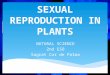 SEXUAL REPRODUCTION IN PLANTS NATURAL SCIENCE 2nd ESO Sagrat Cor de Palma