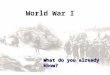 World War I What do you already know? From World War I Manfred von Richthofen – German pilot with 80 victories in a wooden and fabric airplane French