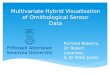 Multivariate Hybrid Visualisation of Ornithological Sensor Data Richard Roberts, Dr Robert Laramee, & Dr Mark Jones