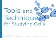 Javad Jamshidi Fasa University of Medical Sciences, December 2015 Tools and Techniques for Studying Cells