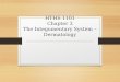 HTHS 1101 Chapter 3 The Integumentary System – Dermatology
