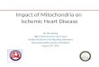 Impact of Mitochondria on Ischemic Heart Disease By Tina Huang High School Summer Intern 2012 Cardiac Proteomics and Signaling Laboratory UCLA David Geffen