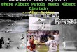 1 Baseball and Physics: Where Albert Pujols meets Albert Einstein ---Alan Nathan