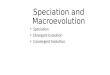 Speciation and Macroevolution Speciation Divergent Evolution Convergent Evolution