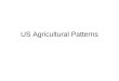 US Agricultural Patterns. Livestock Patterns Cows -- Dairy and Beef