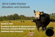 2014 Cattle Market Situation and Outlook Derrell S. Peel Breedlove Professor of Agribusiness and Extension Livestock Marketing Specialist Oklahoma State