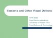 Illusions and Other Visual Defects CITA 6016 Food Sensory Analysis University of Puerto Rico Food Science & Technology