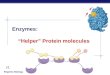 Enzymes: “Helper” Protein molecules s1 Flow of energy through life  Life is built on chemical reactions s2