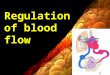 Regulation of blood flow. Decrease of tone of precapillary sphincters Influences of metabolic products on the diameter of vessels Increase of Н + ions,