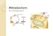 Metabolism An Introduction. Energy Every reaction that occurs in a living organism requires the use of Energy ◦ Energy = ability to do work Metabolism: