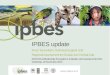 IPBES update Amor Torre-Marin, Technical Support Unit Regional Assessment for Europe and Central Asia 2015 Eionet Biodiversity Ecosystems, Indicators and