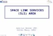 Cesg-1 28 April 2009 Jean-Luc Gerner (AD) Gilles Moury (DAD) SPACE LINK SERVICES (SLS) AREA