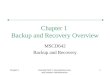 Chapter 1Oracle9i DBA II: Backup/Recovery and Network Administration 1 Chapter 1 Backup and Recovery Overview MSCD642 Backup and Recovery